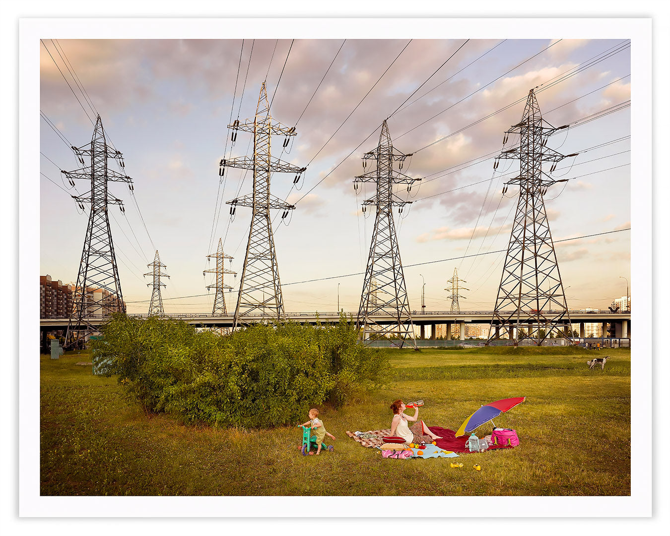 PICNIC, 2010