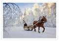 WINTERLAND, 2010