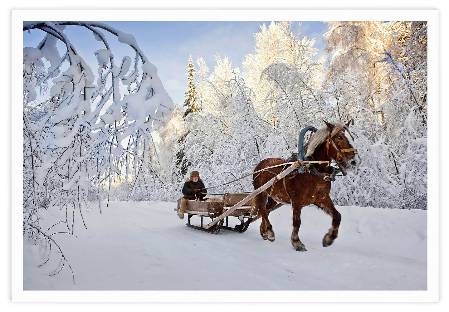 WINTERLAND, 2010