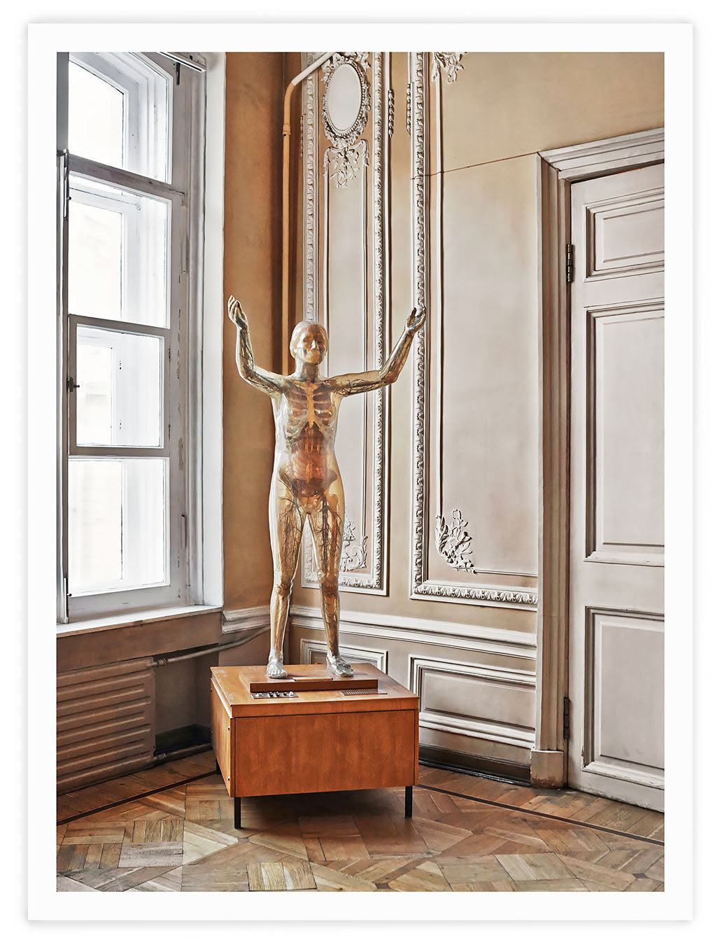 WISDOM, 2016
