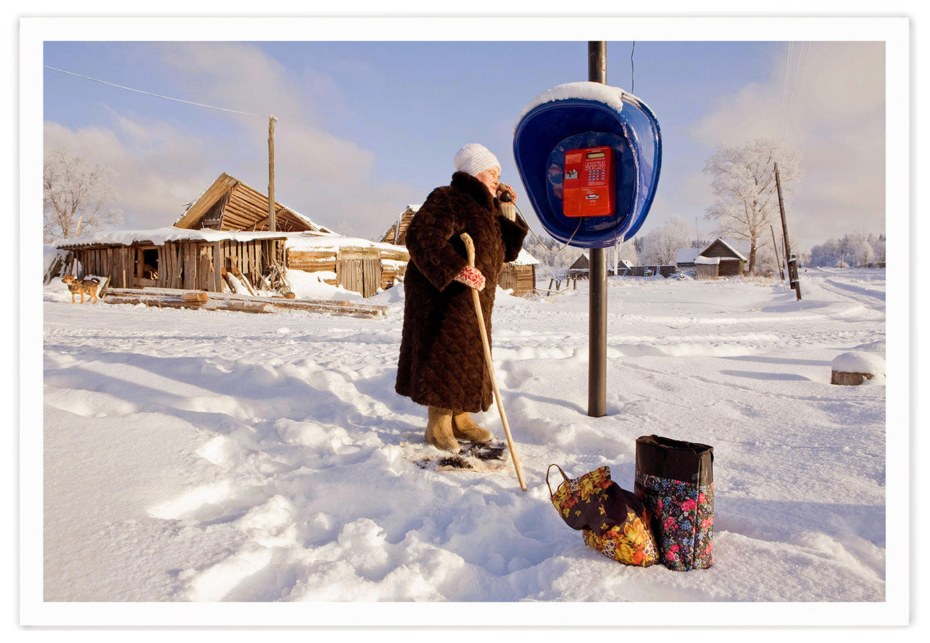 DAUGHTERS CALL, 2012