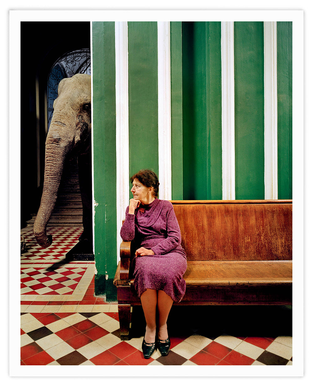 ELEPHANT,  2005